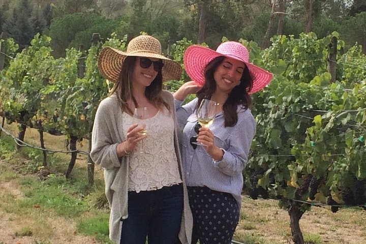 Private Marlborough Wine, Gourmet & Scenic Tour from Blenheim photo 6