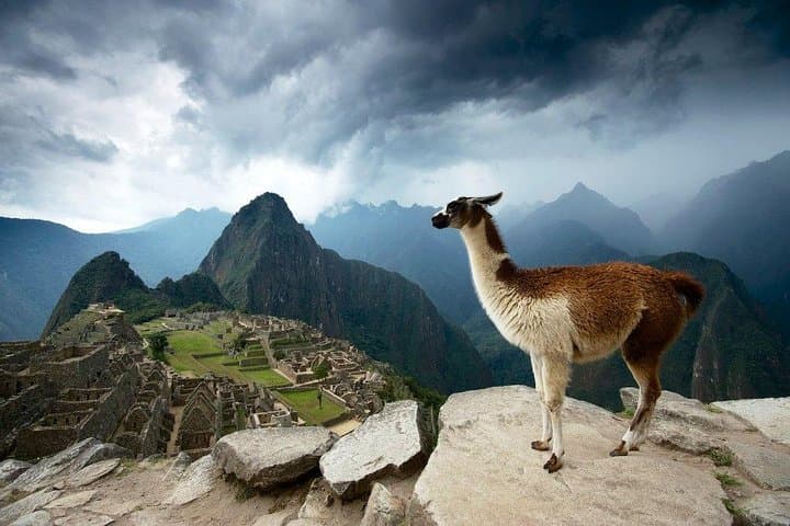 Machu Picchu Official Entrance Ticket — Secure Fast, Flexible Access to the Inca Citadel photo 3