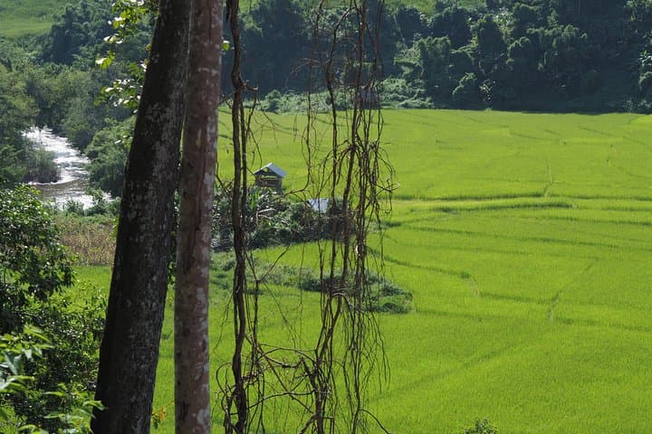 Nalan Trail Kmu Ethnic Experience: 2-Day Forest Trek with Homestay in Luang Namtha photo 2