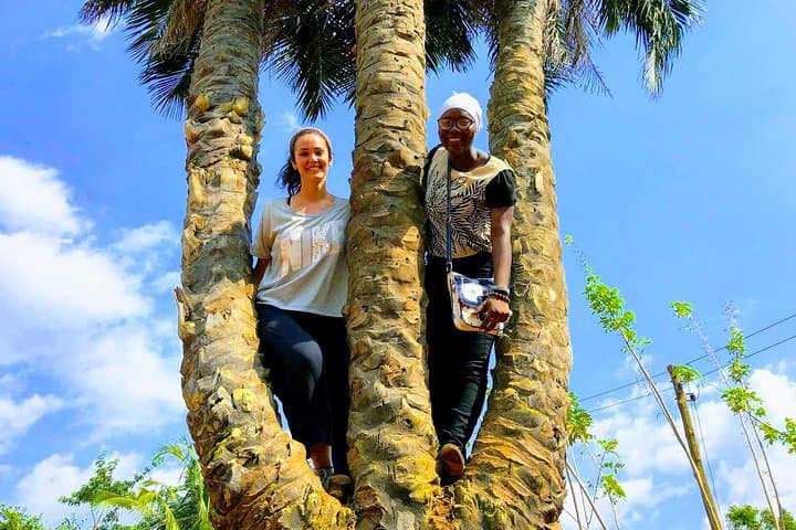Time with Nature: Boti Falls, Aburi Botanical Garden & Umbrella Rock Day Tour from Accra