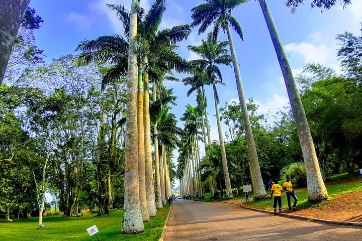 Time with Nature: Boti Falls, Aburi Botanical Garden & Umbrella Rock Day Tour from Accra photo 5