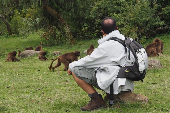 Debrelibanos Monastery & Portuguese Bridge Day Trip from Addis Ababa