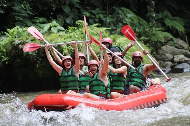 Full-Day Ayung River Rafting and Ubud Monkey Forest: All-Inclusive Adventure
