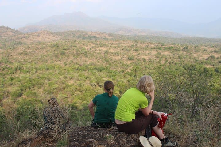 Chinnar Wild Valley Day Tour from Munnar — Eravikulam, Marayoor & Thoovanam photo 3