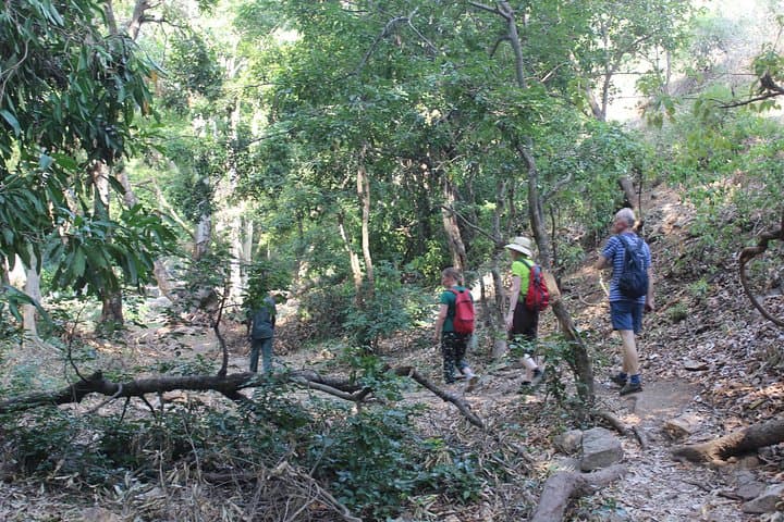 Chinnar Wild Valley Day Tour from Munnar — Eravikulam, Marayoor & Thoovanam photo 4