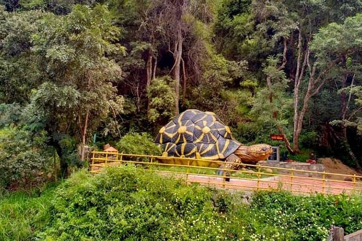 Chinnar Wild Valley Day Tour from Munnar — Eravikulam, Marayoor & Thoovanam photo 5