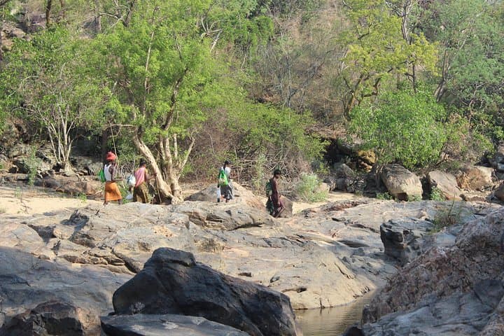Chinnar Wild Valley Day Tour from Munnar — Eravikulam, Marayoor & Thoovanam photo 6