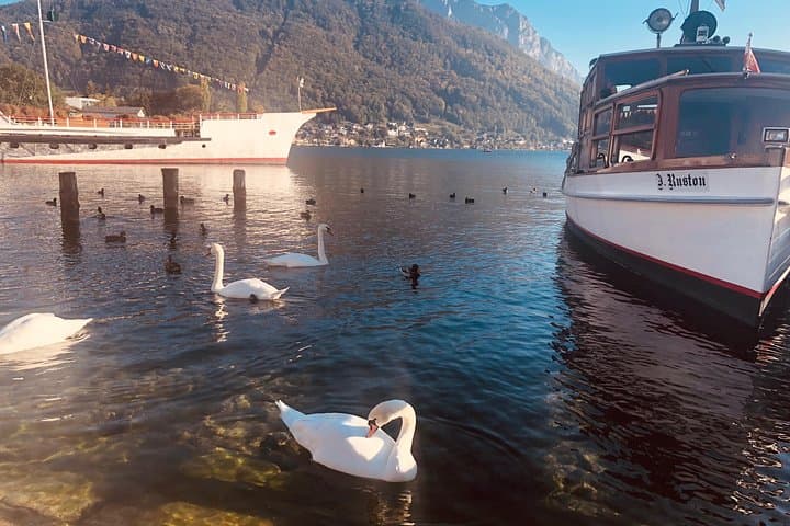 Private Salzburg, Hallstatt & Melk Abbey Day Trip from Vienna photo 4