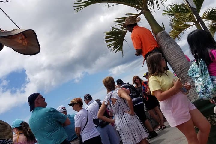 St. Thomas Shopping and Sightseeing Excursion: Charlotte Amalie Highlights photo 3