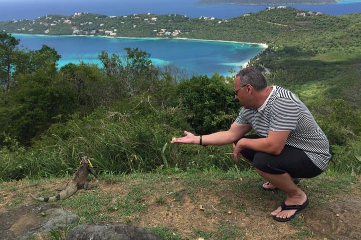 St. Thomas Shopping and Sightseeing Excursion: Charlotte Amalie Highlights photo 6