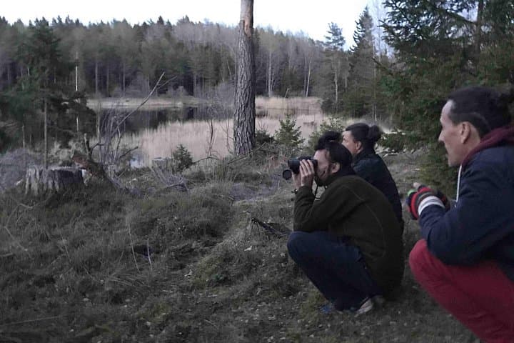 Evening Wildlife Safari & Campfire Dinner near Stockholm — Moose, Forest Walks & Night Viewing photo 6