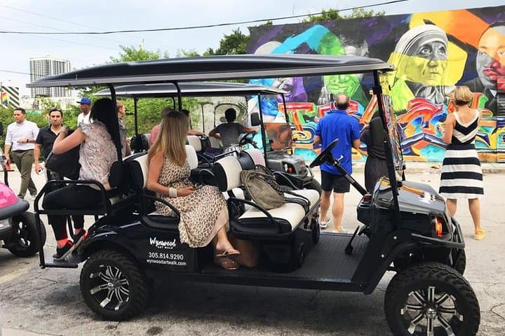 Wynwood Graffiti Golf Cart Tour: Explore Miami’s Bold Street Art in One Hour photo 5