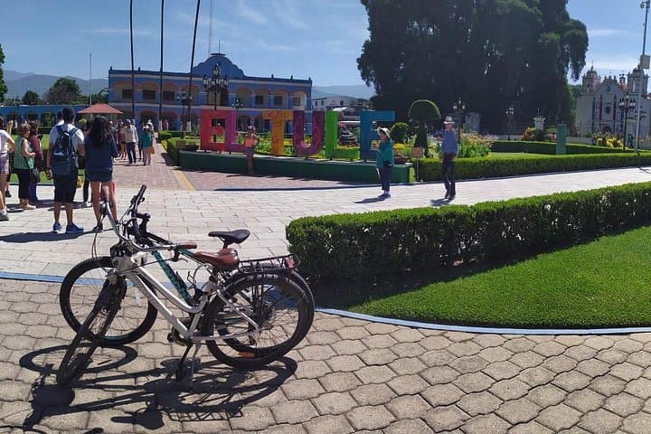 Oaxaca to Tule Tree Bike Ride — Urban Streets to a 2,000-Year-Old Giant
