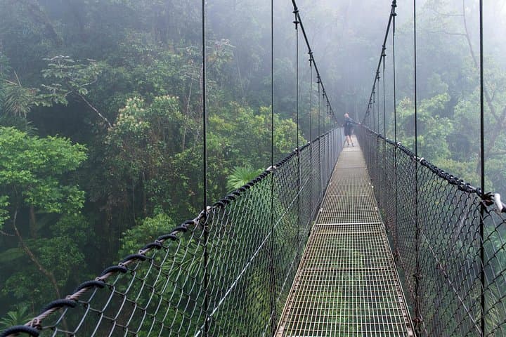 Arenal Hanging Bridges and La Fortuna Waterfall: Half-Day Rainforest Walk with Lunch photo 3