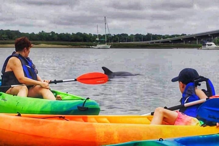 Hilton Head Morning Kayak Tour with Coffee and Dolphin Watching photo 5