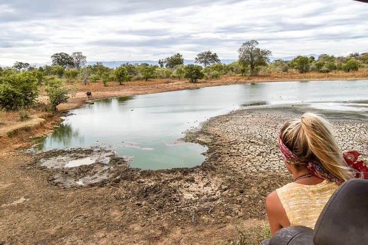 Morning Game Drive in Udawalawe National Park — Elephant Safaris & Birdwatching photo 3