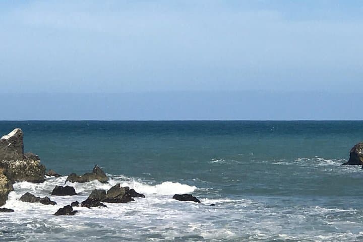 Picton to Marlborough: Private Wine, Gourmet & Scenic Delights Tour photo 3