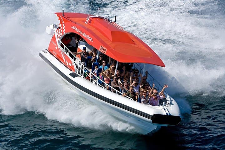 Rottnest Island Adventure: Ferry, High-Speed Wildlife Cruise & Island Activities from Perth photo 4