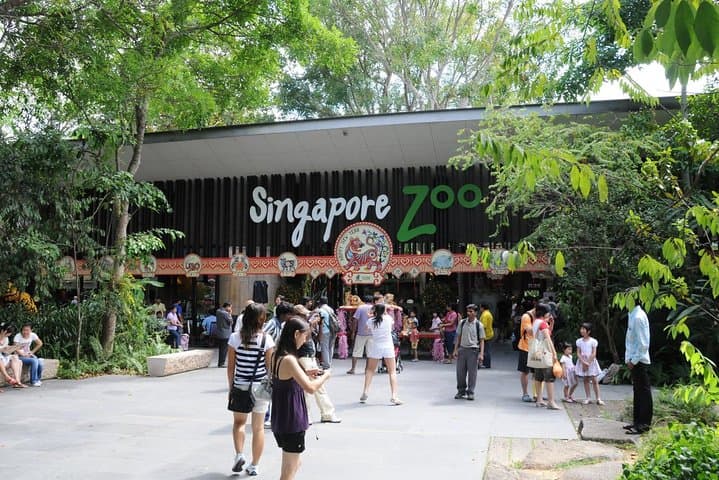 Singapore Zoo & River Wonders Day Ticket and Transfer — Complete Visitor Guide photo 4
