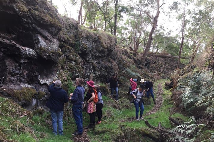 Mount Eccles Volcano Guided Geology Tour at Budj Bim National Park
