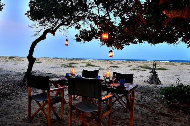 Beach BBQ Dinner in Yala: Private Coastal Safari Dinner from Hambantota photo 6