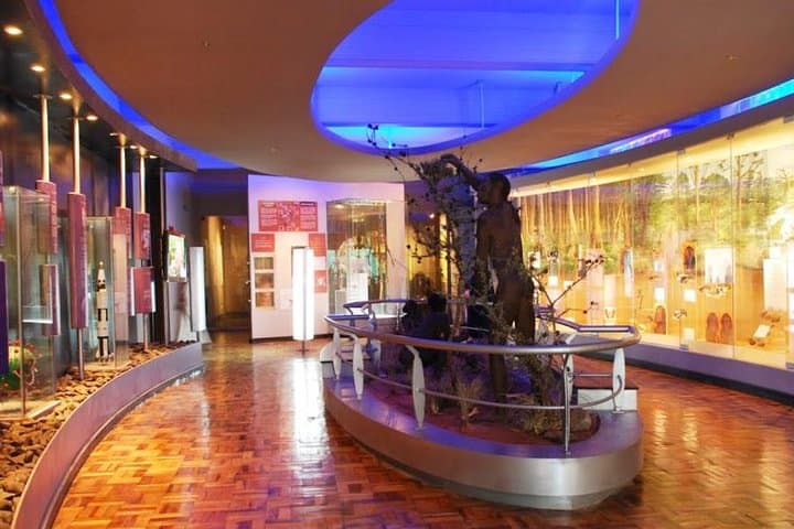 Inside Nairobi National Museum: 3-Hour Cultural & Natural History Tour photo 1
