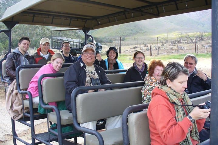 Stellenbosch Wildlife and Wine Day Tour: Safari Drive, Cheese & Champagne Pairings