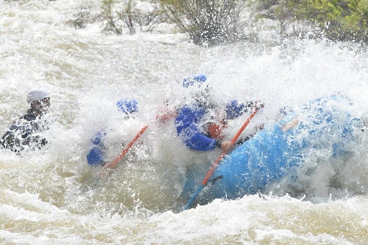Full-Day Royal Gorge Rafting: Bighorn Sheep Canyon to the Royal Gorge photo 4