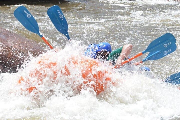Full-Day Royal Gorge Rafting: Bighorn Sheep Canyon to the Royal Gorge photo 5