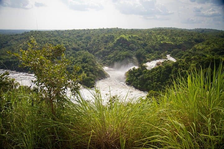 Murchison Falls 2-Day Safari & Nile Boat Cruise — Mid-Range to Luxury photo 6