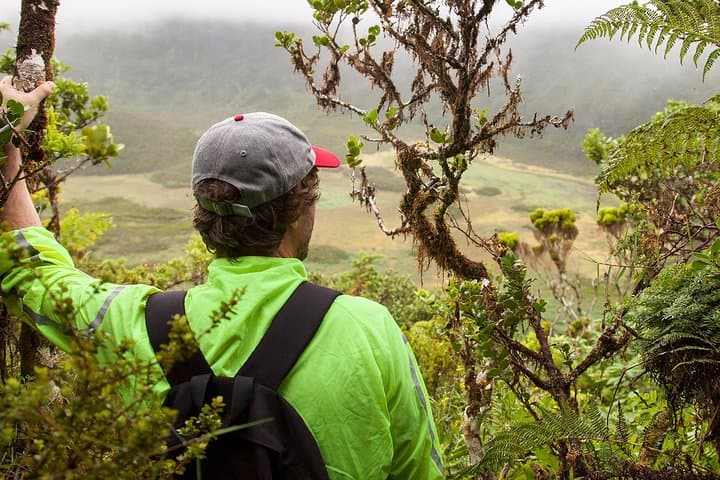 Caldeira do Faial Descent: Guided Hike into Faial’s Volcanic Crater photo 3