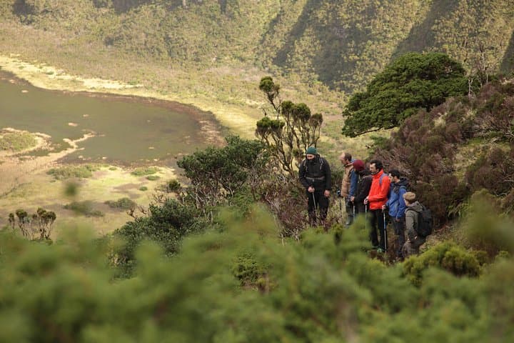 Caldeira do Faial Descent: Guided Hike into Faial’s Volcanic Crater
