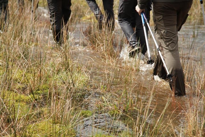 Caldeira do Faial Descent: Guided Hike into Faial’s Volcanic Crater photo 4