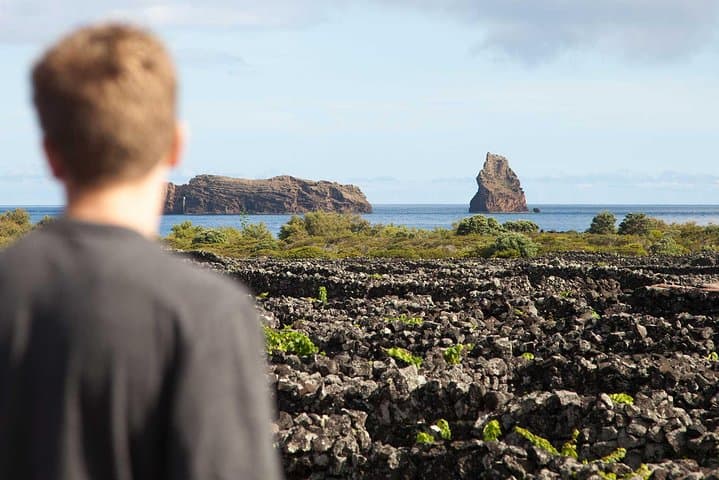 Banana Trip: Full-Day Private Cultural Tour of Pico From Faial photo 2