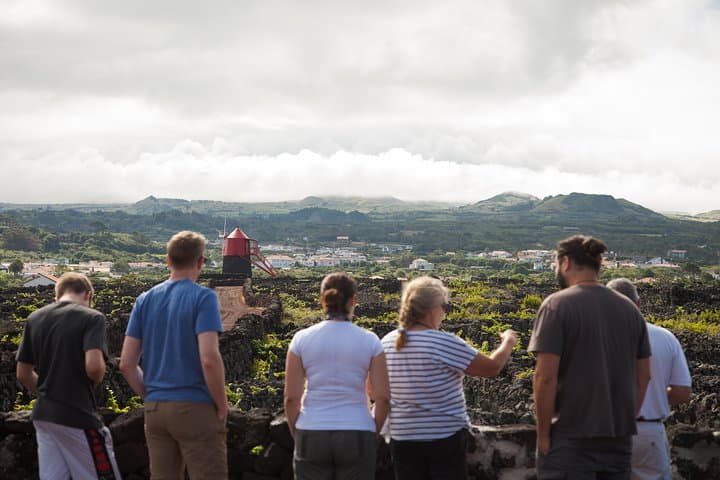Banana Trip: Full-Day Private Cultural Tour of Pico From Faial