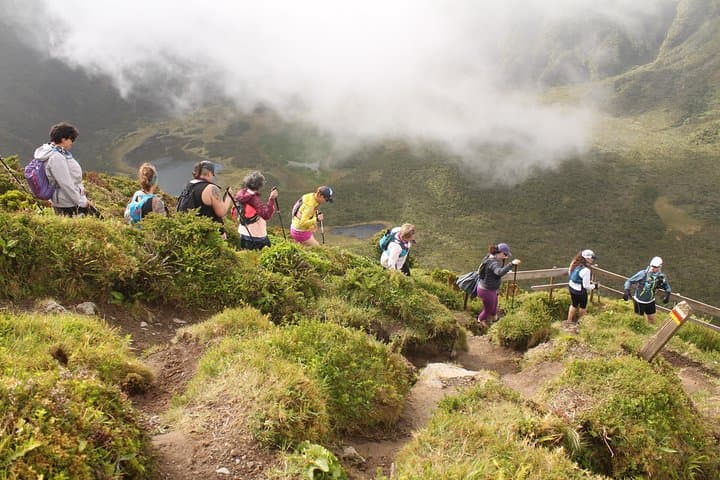 Trail Running the 10 Volcanos of Faial: Guided Private Tour from Horta photo 3