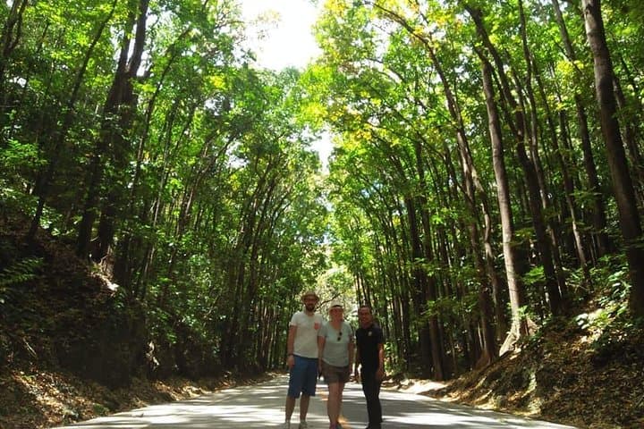 Offbeat Bohol: Chocolate Hills, Tarsiers & Loboc River Waterfall Day Tour photo 6