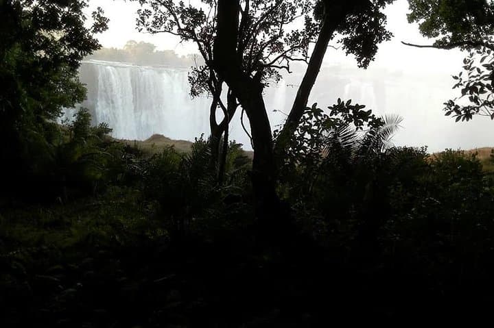 Stand at the Edge: Guided Tour of Victoria Falls photo 2