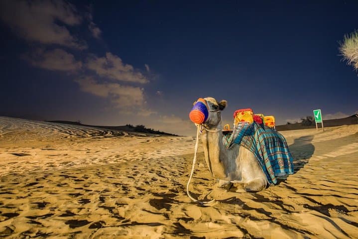 Dubai Desert Safari: Quad Biking, Sandboarding, Dune Bashing & Live BBQ Experience photo 5