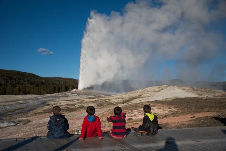 One-Day Yellowstone Lower Loop: Old Faithful, Hayden Valley & Lower Falls Private Tour