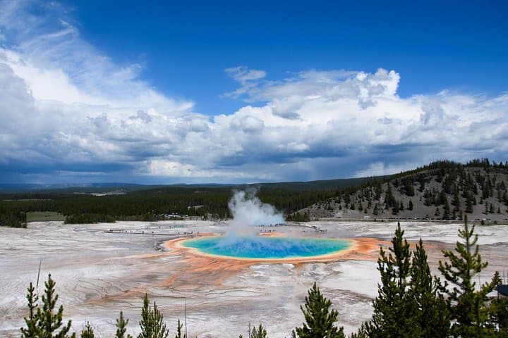 One-Day Yellowstone Lower Loop: Old Faithful, Hayden Valley & Lower Falls Private Tour photo 5