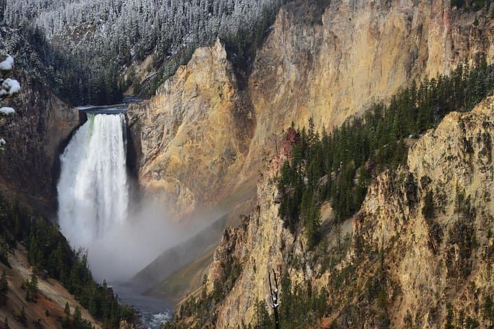 One-Day Yellowstone Lower Loop: Old Faithful, Hayden Valley & Lower Falls Private Tour photo 2