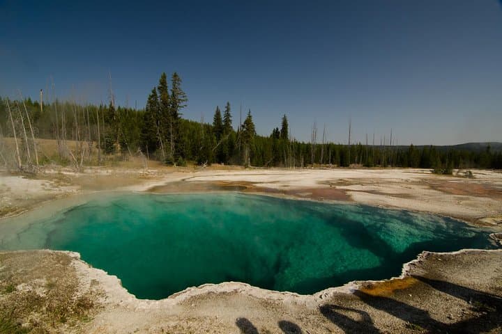 One-Day Yellowstone Lower Loop: Old Faithful, Hayden Valley & Lower Falls Private Tour photo 6