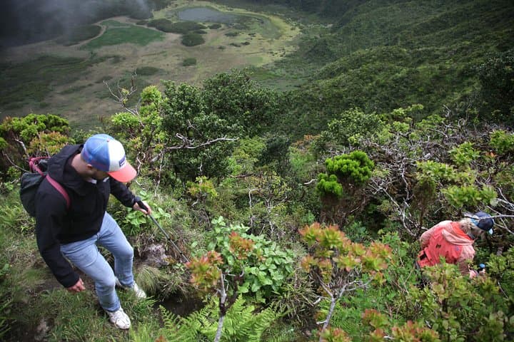 Caldeira do Faial Descent: Guided Hike into Faial’s Volcanic Crater photo 6