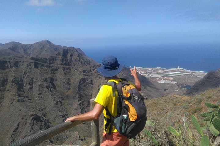 Anaga Hiking Tour: Guided Hike Through Tenerife's Laurel Forest Biosphere Reserve