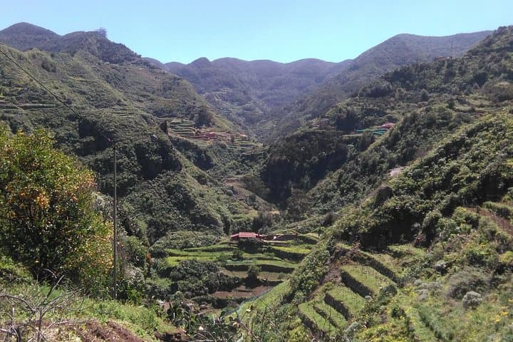 Anaga Hiking Tour: Guided Hike Through Tenerife's Laurel Forest Biosphere Reserve photo 2