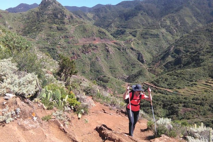 Anaga Hiking Tour: Guided Hike Through Tenerife's Laurel Forest Biosphere Reserve photo 3