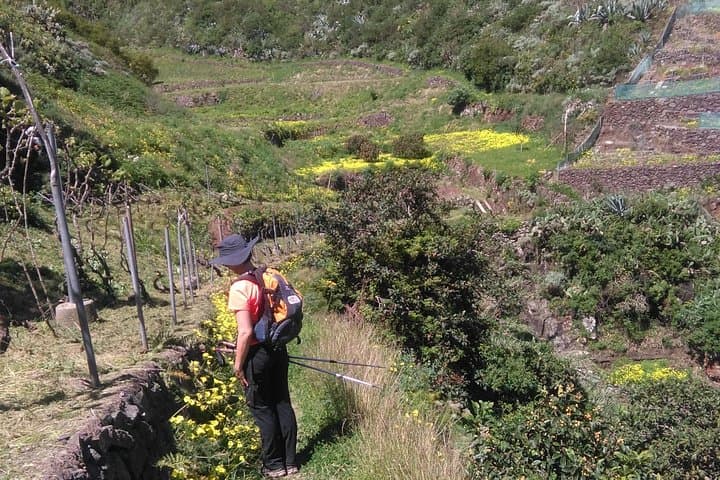 Anaga Hiking Tour: Guided Hike Through Tenerife's Laurel Forest Biosphere Reserve photo 4
