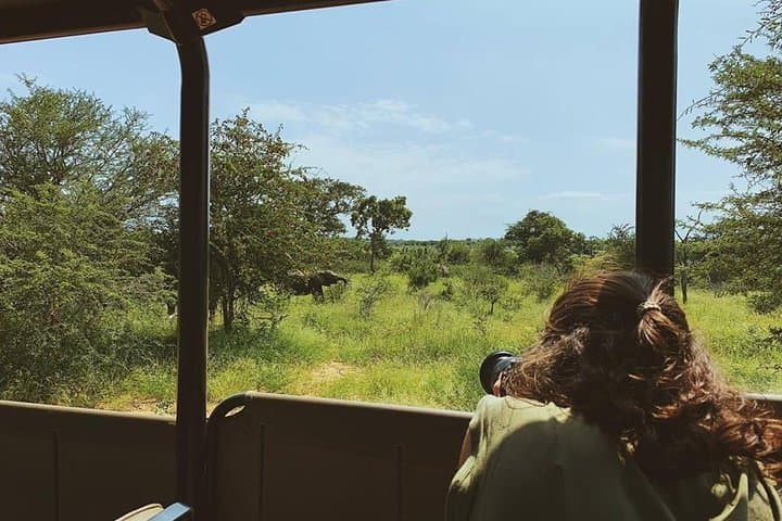 Open-Back Kruger Day Safari from Maputo — Big Five & Crocodile River Views