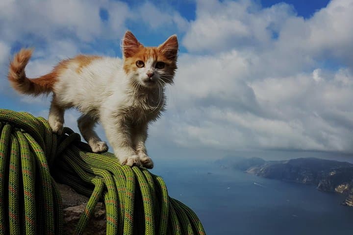 Climb the Path of the Gods: Amalfi Coast Ridge Hike from Positano photo 2